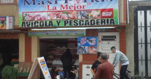 MAXI PORKIS LA MEJOR MAXI PORKIS LA MEJOR
